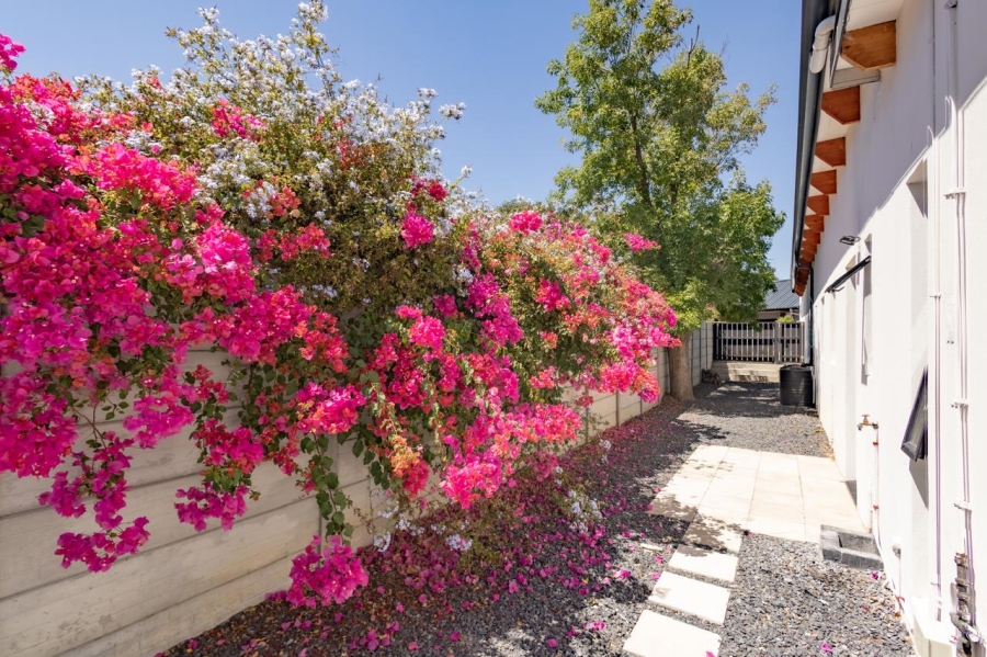 5 Bedroom Property for Sale in Elim Western Cape